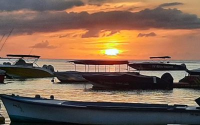 Pensamientos de enero: todo empezará a despertarse, a brotar y a fluir