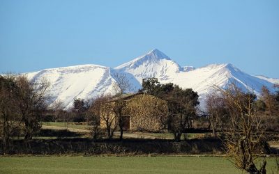 Pensamientos de enero: introducid la armonía en vosotros