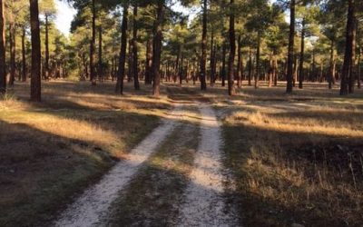 Pensamientos de enero: os sentiréis protegidos