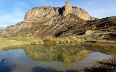 Pensamientos de enero: unificar y orientar vuestras energías