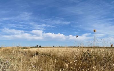 Pensamientos de febrero: la mayor recompensa