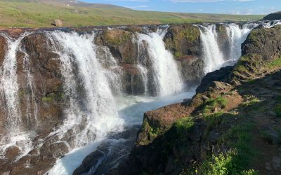 Pensamientos de febrero: haced el bien