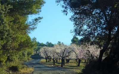 Pensamientos de febrero: trabajar con amor divino