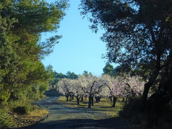 Pensamientos de febrero: trabajar con amor divino
