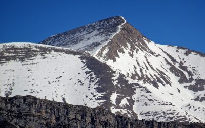 Pensamientos de febrero: las flechas del pensamiento…