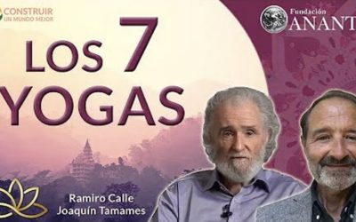 Los 7 Yogas (Ramiro Calle)