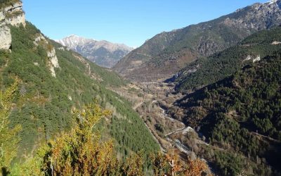 Pensamientos de febrero: desechad todo pensamiento trivial