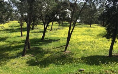 Pensamientos de marzo: tener valor