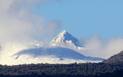 Pensamientos de marzo: firme es mi fe