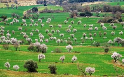 Pensamientos de abril: dar la oportunidad de manifestarse…