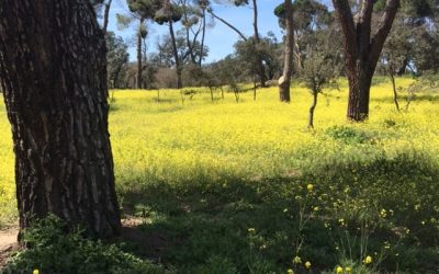 Pensamientos de abril: no rehuyan estas crisis…