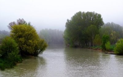 Pensamientos de abril: una virtud, un estado de ánimo…