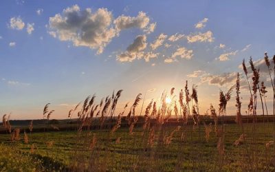 Pensamientos de abril: hacer salir el sol en nosotros mismos