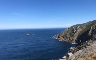 Pensamientos de mayo: el trabajo interior silencioso