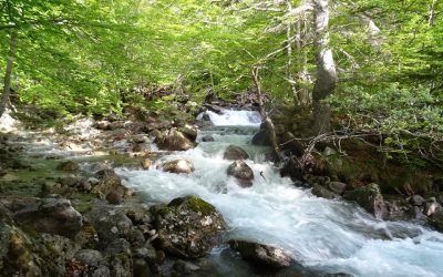 Pensamientos de mayo: ¿cuáles son mis valores más profundos?