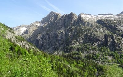 Pensamientos de mayo: Iluminar, calentar, vivificar