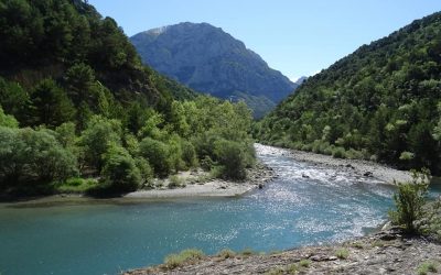 Pensamientos de mayo: establecer esa conexión