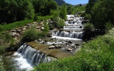 Pensamientos de junio: cuidar la llama