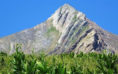 Pensamientos de junio: mirad al sol y tomadlo como modelo