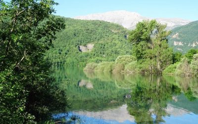 Pensamientos de julio: lo que buscaba fuera está en realidad dentro