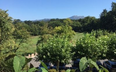 Pensamientos de agosto: susurra a tu mente