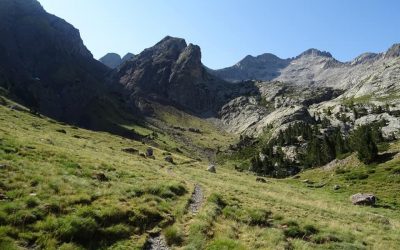 Pensamientos de agosto: a pesar de la fatiga, el desánimo, las tristezas…