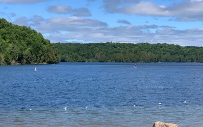Pensamientos de agosto: experimento una verdadera transformación interior