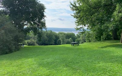 Pensamientos de agosto: que la calidad de tus pensamientos sea benévola