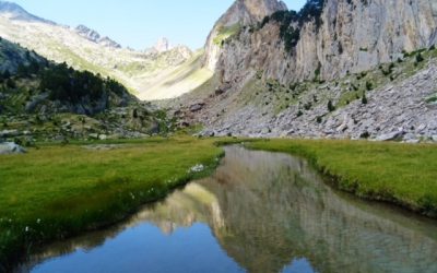 Pensamientos de agosto: el Nombre de Dios