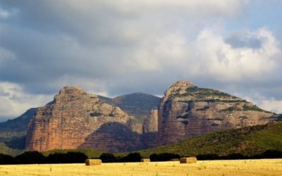Pensamientos de agosto: cuida tu mente