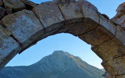 Pensamientos de septiembre: dar frutos