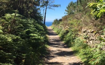 Pensamientos de octubre: vibrar al unísono