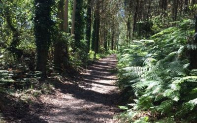 Pensamientos de octubre: aprendemos a conectarnos como alma con la Fuente