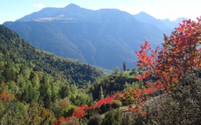 Pensamientos de octubre: donde había miedo, ahora hay valor