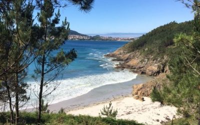 Pensamientos de noviembre: concentraos en la cima