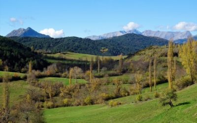 Pensamientos de noviembre: nada podrá perturbaros