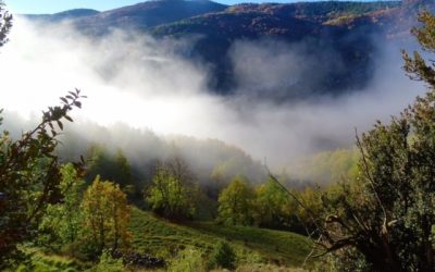 Pensamientos de noviembre: recordar