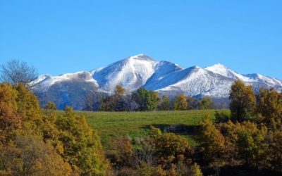 Pensamientos de diciembre: meditar