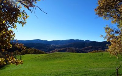 Pensamientos de diciembre: practicar todos los días