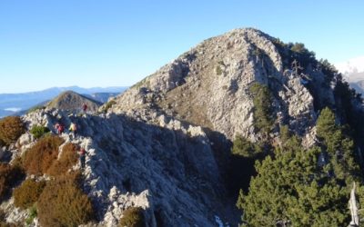 Pensamientos de enero: elevaos cada vez más alto…