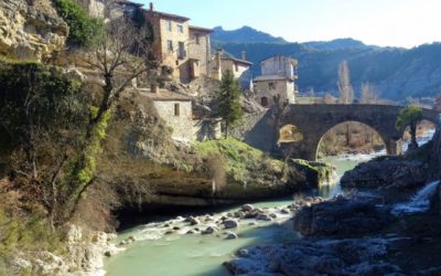 Pensamientos de enero: mantenerse unidos a  la Fuente divina