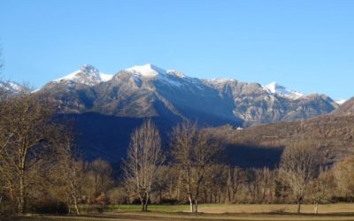 Pensamientos de enero: eres un alquimista y lo convertirás en oro