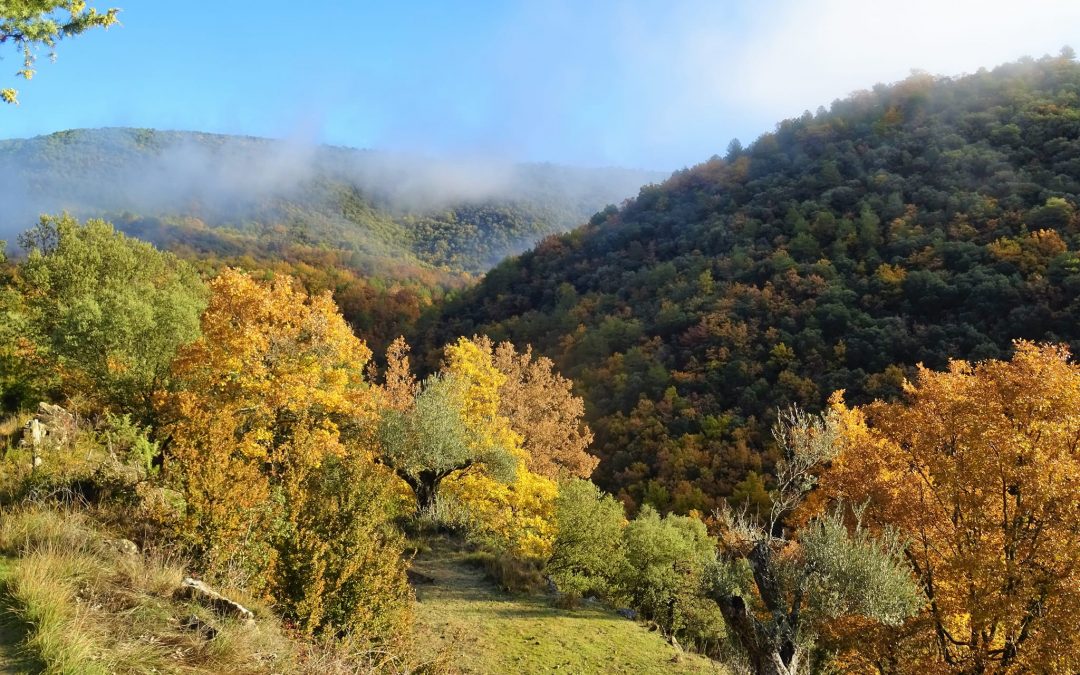 Pensamientos de enero: vivir este primer día en la luz