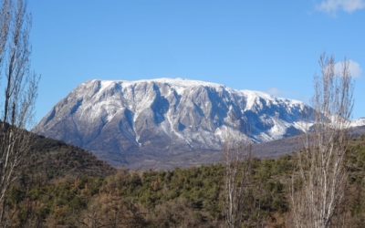 Pensamientos de febrero: vibraciones sutiles y armoniosas (dedicado a Pilar)