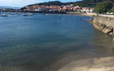 Pensamientos de marzo: despertar el sentido del mundo divino