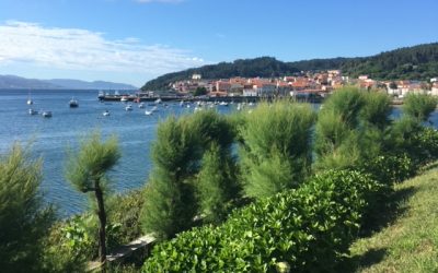 Pensamientos de marzo: contribuiréis a disgregar las tinieblas…