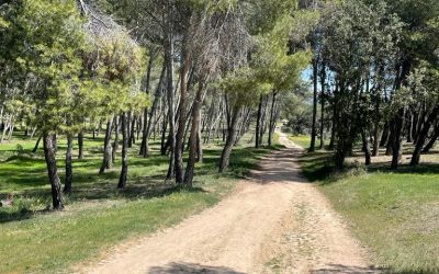 Pensamientos de abril: la unión con el Cielo