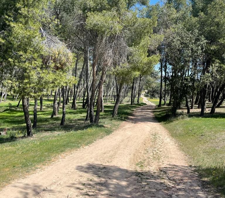 Pensamientos de abril: la unión con el Cielo