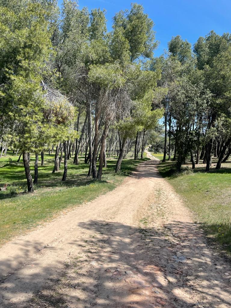Pensamientos de abril: la unión con el Cielo