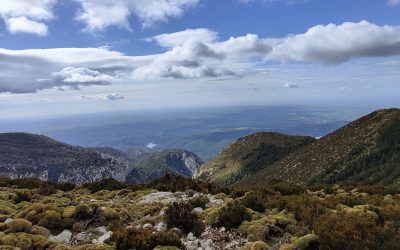Pensamientos de abril: los vínculos invisibles